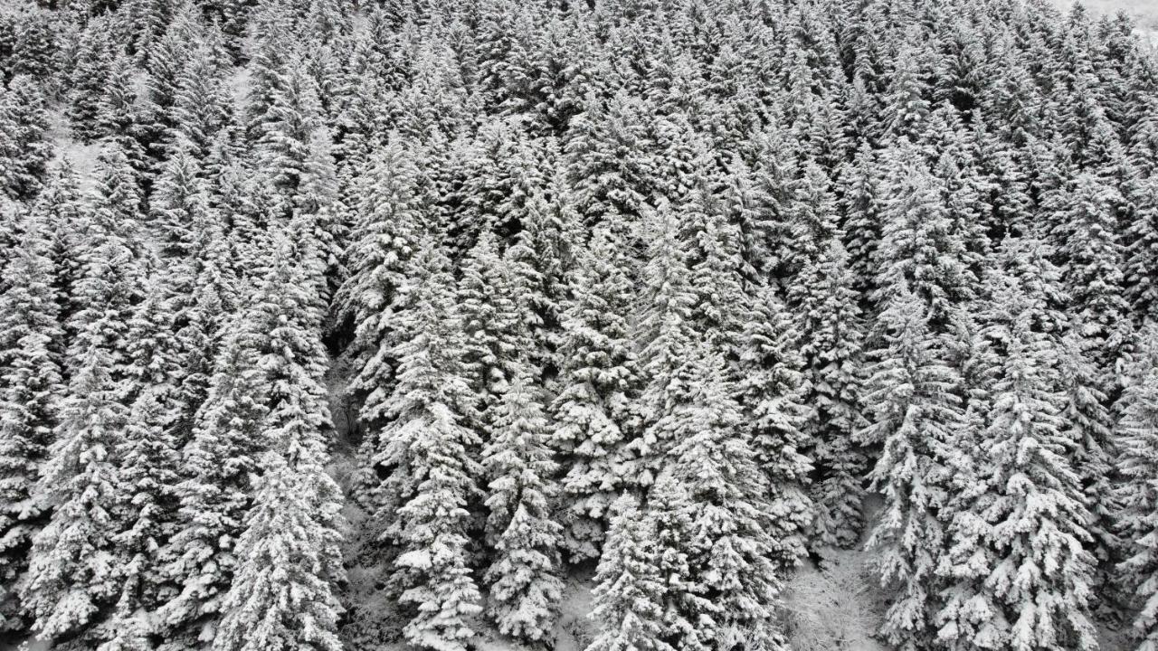 Pazarcik Mountain Trabzon