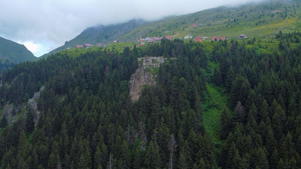 Pazarcik Mountain 3*