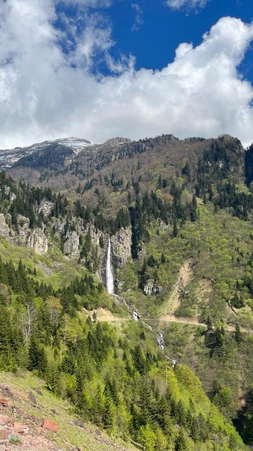 Pazarcik Mountain 3*